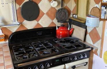 Rose des prés - Foto 10