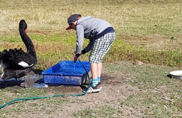 Bauernhof Südfrersbüll - Foto 14