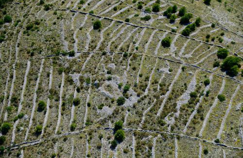 Home Sweet Home traditional Dalmatian house with pool - Photo 31