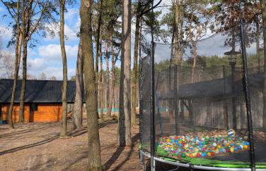 Leśna Przystań Nowy Kobrzyniec - Foto 17