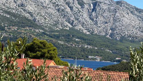 Villa Oliva Korcula - Foto 3