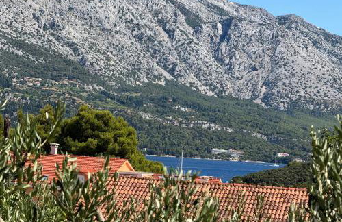 Villa Oliva Korcula - Photo 3