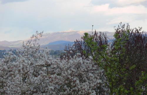 Premium Ferienloft Dreßler Fulda - Photo 11