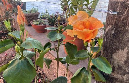 Pousada Terra Prometida - Foto 47