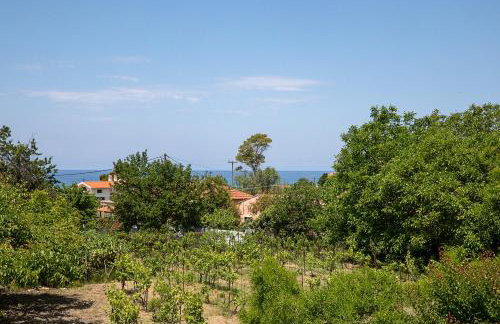 Irini Apartments and Studios - Foto 30