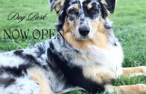 4 Heron Haus, Luxury Tiny House, Pet Friendly, Mins to Downtown Guntersville - Foto 16