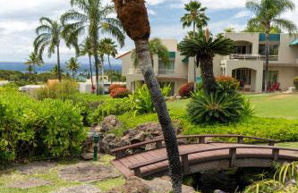 Wailea Hidden Gem - Foto 49