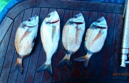 Stone house Na Rudini - Photo 51