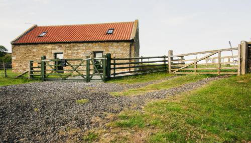 The Old Cow Byre - Foto 4, Garden view