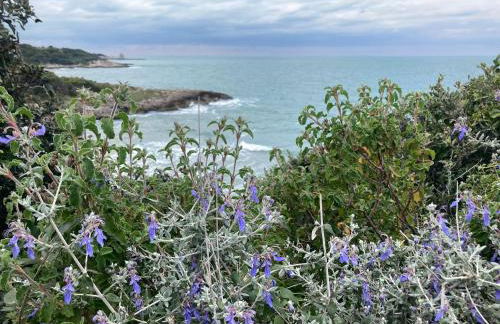 Casa Maremonti - Gargano - Foto 20