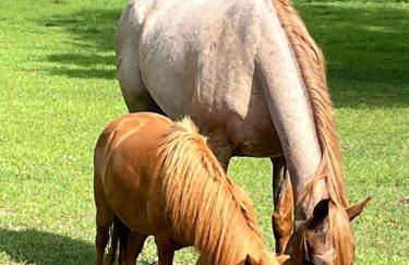 Double D Ranch - Foto 28