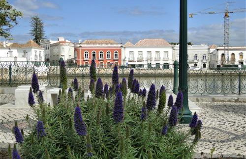 Apartment Vista Verde - Photo 37