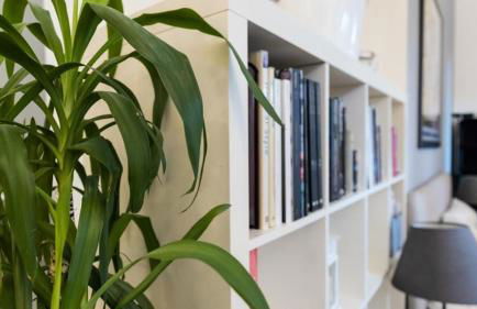 Casa Olimpia - Photo 15