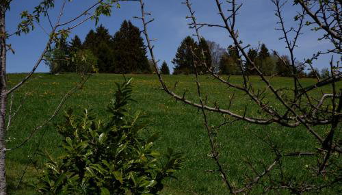 Haus Lichtblick - Foto 5