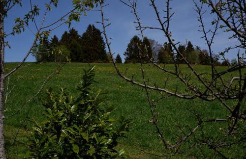 Haus Lichtblick - Foto 5