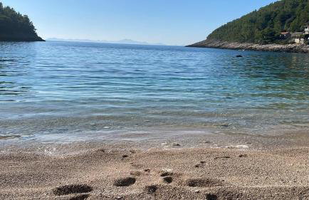 Villa Centenary Goose - Foto 28