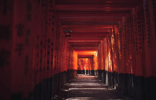 Kyoto Amazing - The Wizard of Oz - Foto 55