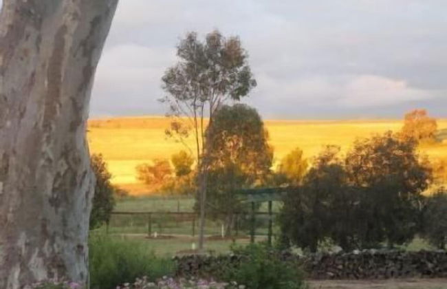 Stone Hut Cottage - Foto 13