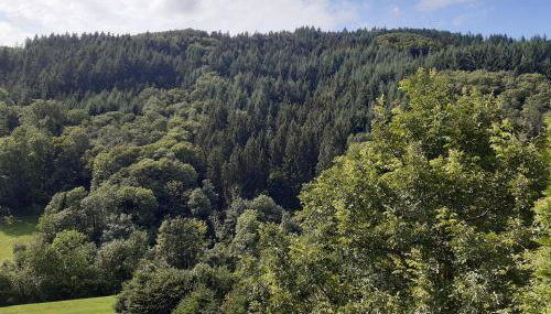 Ferienhaus Auszeit - Foto 4