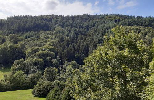 Ferienhaus Auszeit - Foto 4