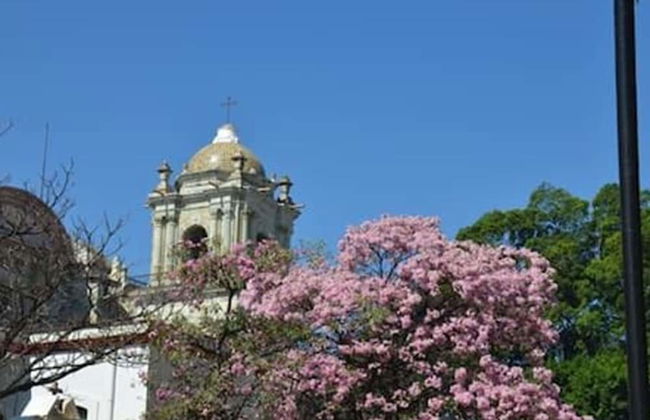 Oaxaca at your doorstep - Foto 46