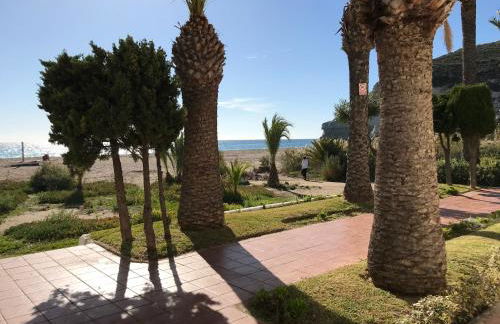 El Jardín del Camaleón - Foto 30