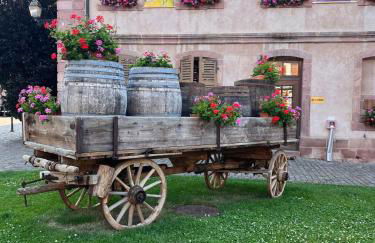 Au pied des vignes - Foto 36