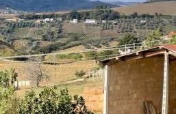 Villa Casabianca - Foto 32