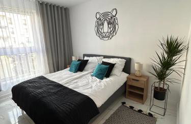 Apartament Dobrzec - Foto 1