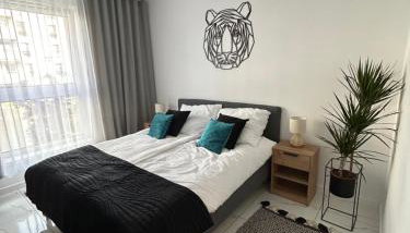 Apartament Dobrzec - Foto 1