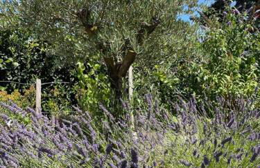 Wohnen wie im eigenen Haus - Foto 15