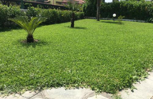 Blue house - Foto 62