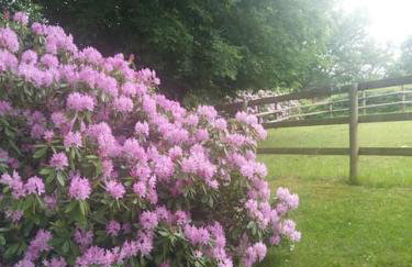 Etzauer Mühle im Taunus, Mensch-Zeit-Pferd - Foto 1