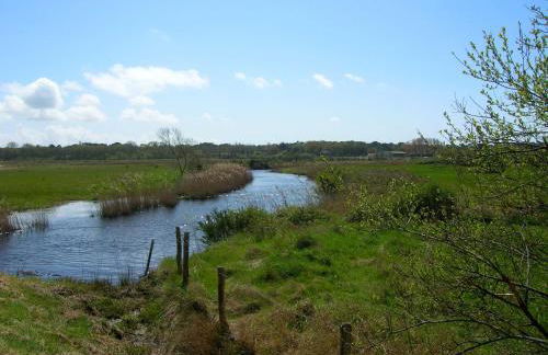 Appartement face mer et aux pins - Foto 20