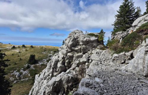 Apartment Biondić - Villa Sunce - Foto 46