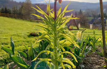 DOMKI KOLOROWE - Foto 77