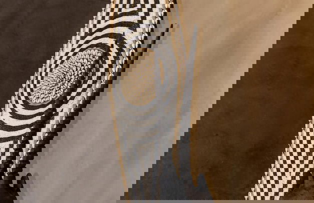 Villa Tau in Hoedspruit - Photo 11