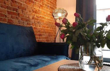 Apartamenty Gliwice Staromiejska 65 - Foto 48