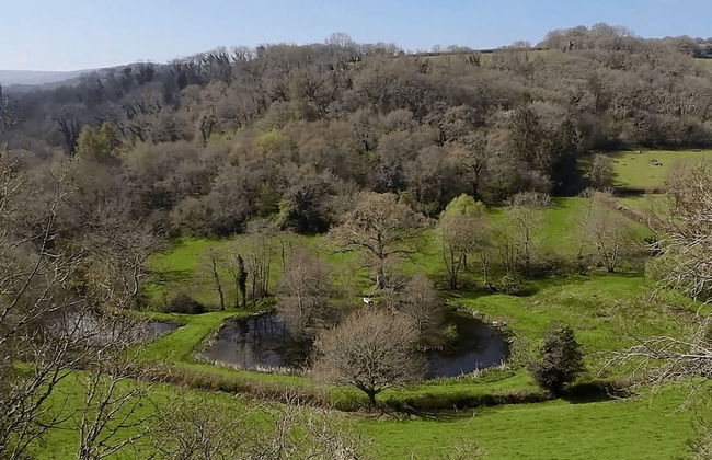 Higher Mapstone in Lustleigh - Foto 46