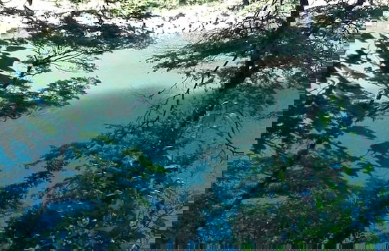 Cabaña Rústica 2 Maravillosa,con Troncos Nativos, con Orilla de Río Trancura - Photo 27