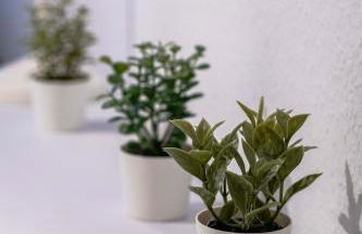 Central, cozy, bright design 3 Room Apt - Foto 60