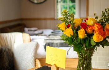 Piano Forte - a delightful rural shepherd hut & hot tub available ! - Foto 7