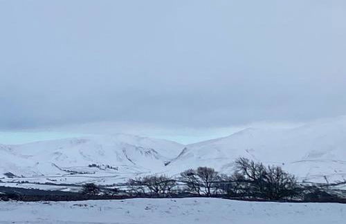 19 Forest Views - Foto 32