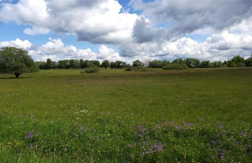 Lichte Wohnung zum Wohlfühlen - Photo 20