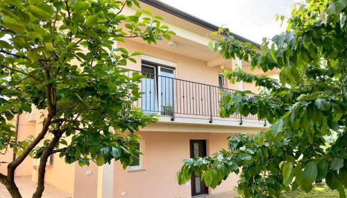 Apartments Marijan & Marija - Foto 4, Garden