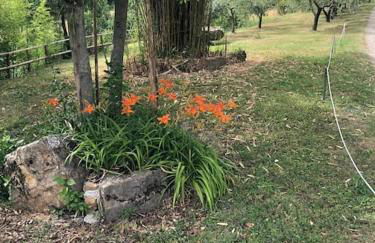 luxury villa in centre of tuscany - Foto 41