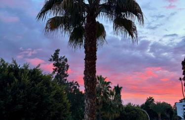 Allegra Suite II - Photo 20