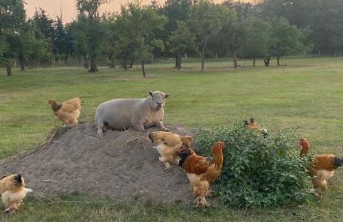 Landhaus Brigitte - Foto 71