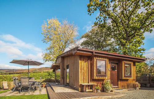 Ash Lodge - Hw7442 - Foto 25