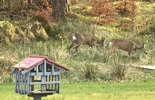 Westmains Lodge - Foto 22